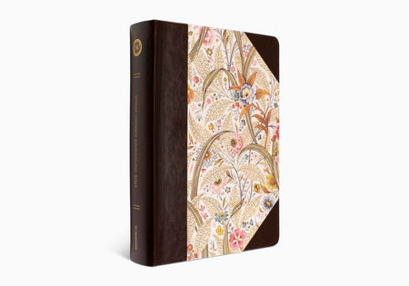 Know Your Bible Day by Day : A 365-Day Guide and Journal