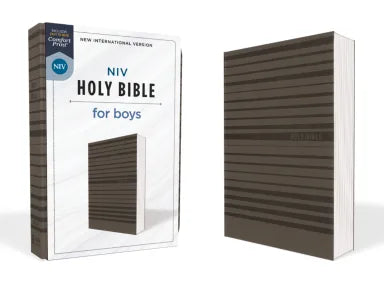 NIV Holy Bible For Boys Gray