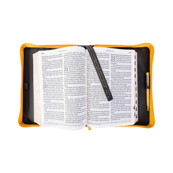 Divine Details: Bible Cover - Modern Rainbow