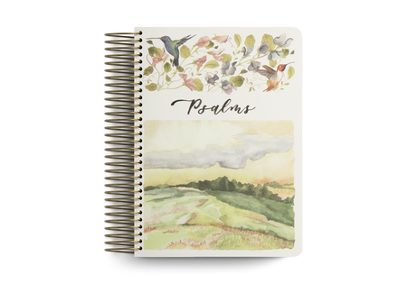 Know Your Bible Day by Day : A 365-Day Guide and Journal