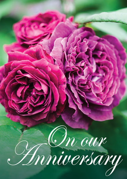 Our Anniversary Card - Old English Roses  (Order in 6)