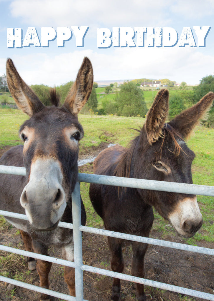 Birthday Card - Donkeys  (Order in 6)