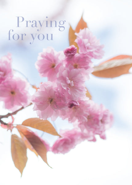 Praying for You Card - Pink Cherry Blossom  (Order in 6)