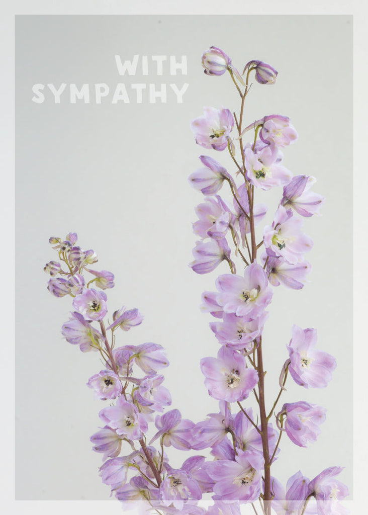 Sympathy Card - Light Pink Delphinium (Order in 6)