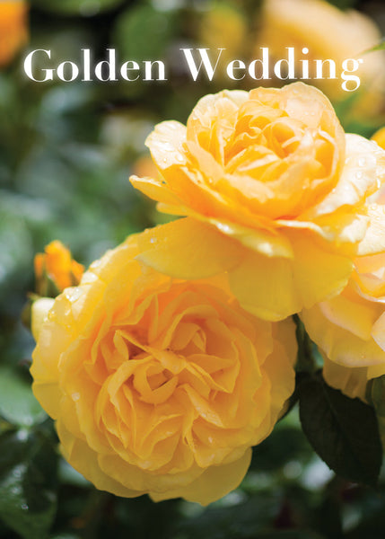 Golden Anniversary Card - Golden Roses  (Order in 6)