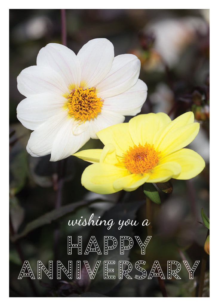 Anniversary Card - Dahlias (Order in 6)