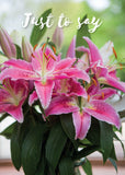 Just to Say Card - Stargazer Lilies  (Order in 6)