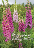 Get Well Card - Garden Foxgloves  (Order in 6)