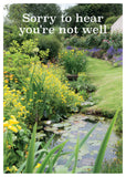 Get Well Card - The Garden Pond  (Order in 6)
