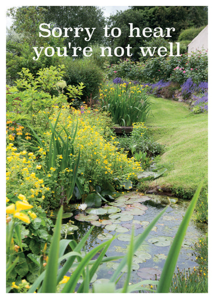 Get Well Card - The Garden Pond  (Order in 6)