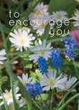 Encourage Card - Wood Anemone & Muscari  (Order in 6)