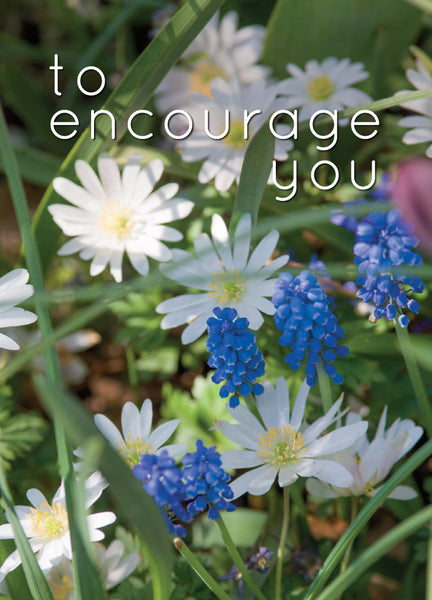 Encourage Card - Wood Anemone & Muscari  (Order in 6)