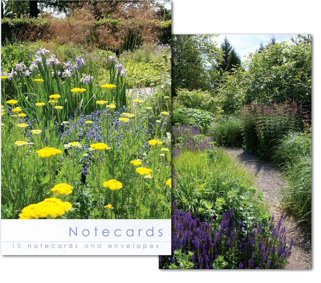 Notecard Wallet - Borders RHS (10 cards)