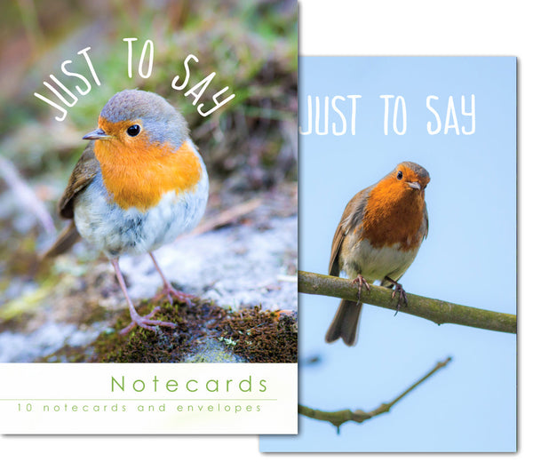 Notecard Wallet - Robins (10 cards)