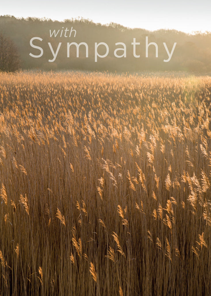 Sympathy Card - Reedbed at Minsmere (Order in 6)