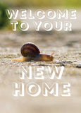 New Home Card - Creeping Snail  (Order in 6)
