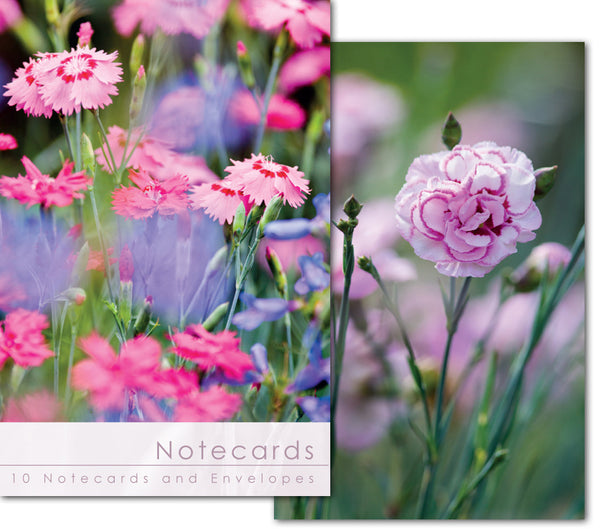 Notecard Wallet - Pink Carnations (10 cards)