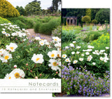 Notecard Wallet - Trentham Gardens (10 cards)