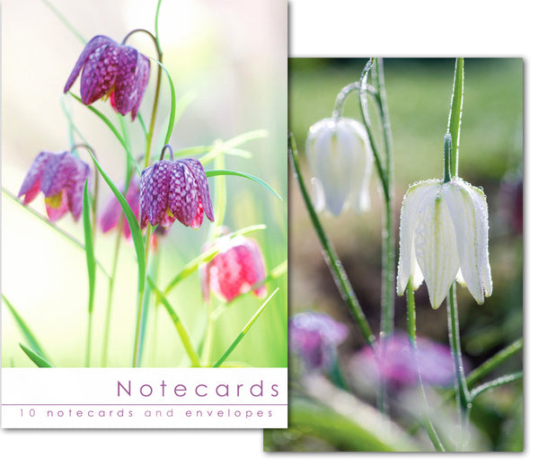 Notecard Wallet - Fritillaries (10 cards)