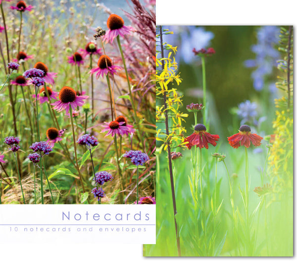 Notecard Wallet - Echinacea (10 cards)