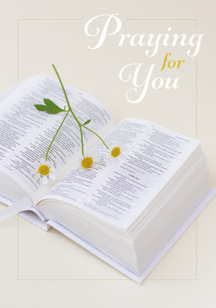 Praying For You Card - Bible with Daisies (Order in 6)