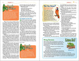 NKJV Adventure Bible Teal
