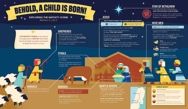 Bible Infographics for Kids : Giants, Ninja Skills, a Talking Donkey, and What's the Deal with the Tabernacle?