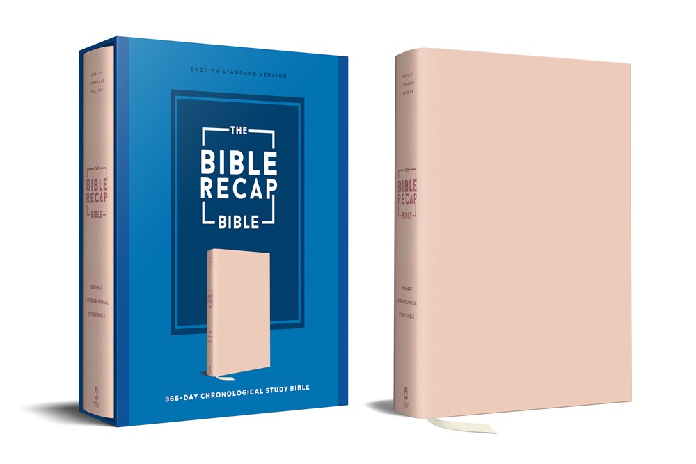 The Bible Recap 365-Day Chronological Study Bible : English Standard Version - Imitation Leather, Pink