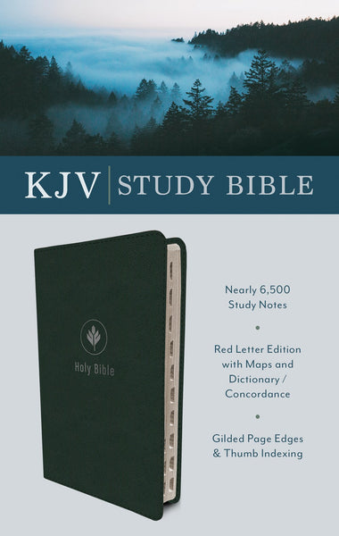 KJV Study Bible Indexed Evergreen Fog