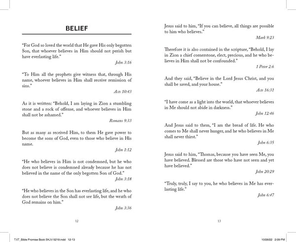 The Bible Promise Book : Simplified KJV