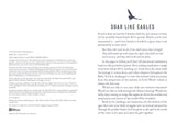 Soar Like Eagles : Devotions for Men