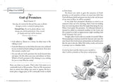 The 90-Day Bible Reading Devotional for Women
