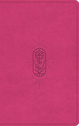 ESV Holy Bible for Kids (TruTone, Berry, The True Vine Design) - KI GIFTS