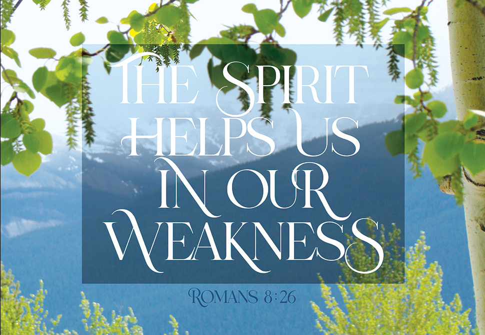 Large Poster - In our weakness