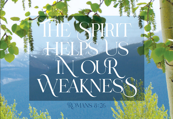 Large Poster - In our weakness