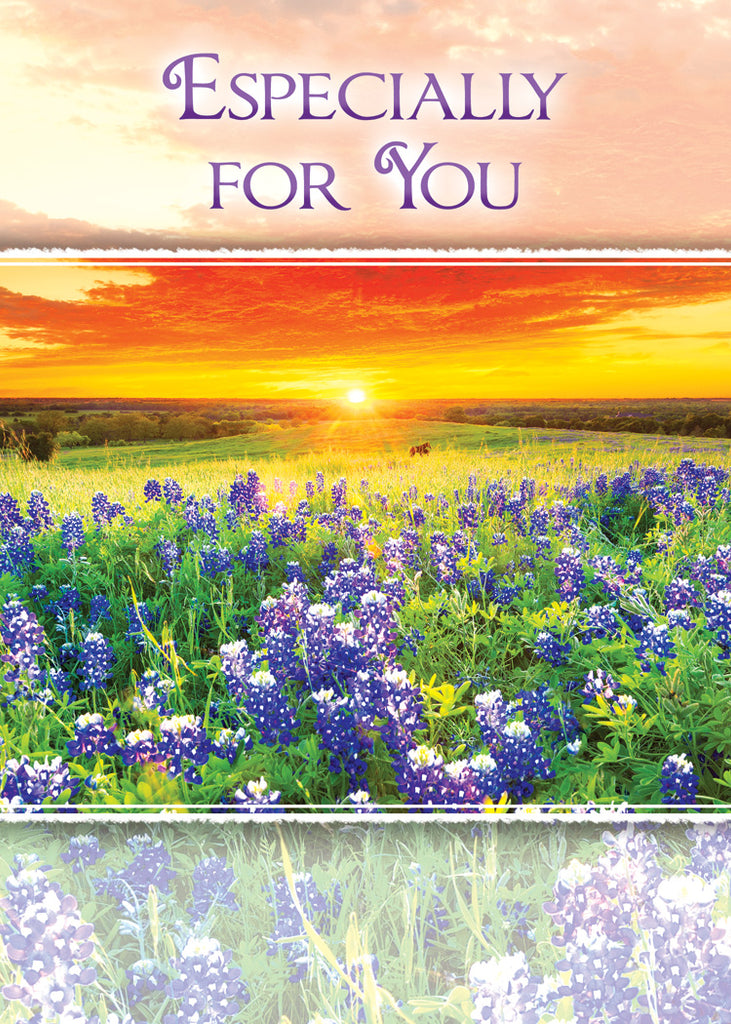 Boxed Cards - Birthday - Birthday Sunshine