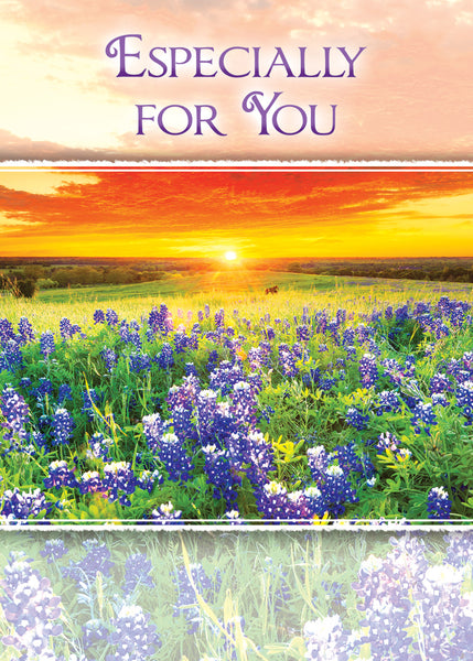 Boxed Cards - Birthday - Birthday Sunshine