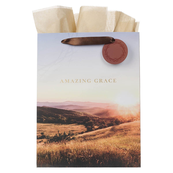 Amazing Grace Crown of Thorns Large Portrait Gift Bag - KI Gifts Christian Supplies