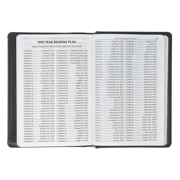 Black and Gray Lion Faux Leather Hardcover Compact King James Version Bible