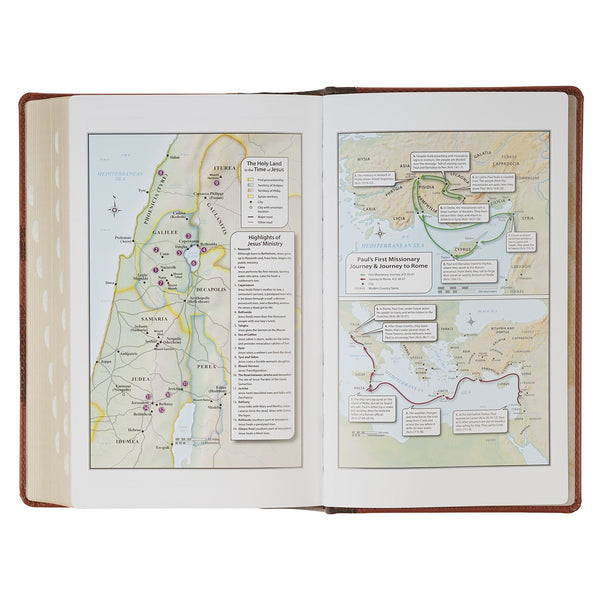 Rooted Brown Faux Leather Hardcover Standard-size Giant Print King James Version Bible with Thumb Index