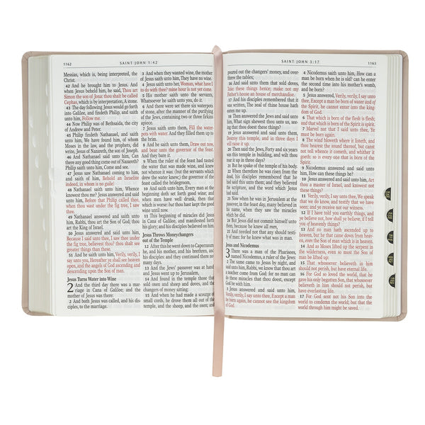 Blush Pink Floral Giant Print Full-size King James Version Bible with Thumb Index