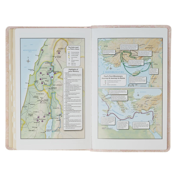 Pale Pink Floral Faux Leather King James Version Deluxe Gift Bible with Thumb Index