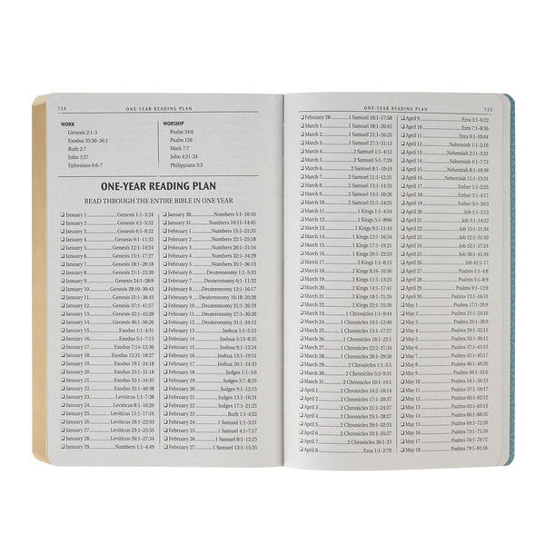 Marbled Teal Faux Leather King James Version Gift Bible