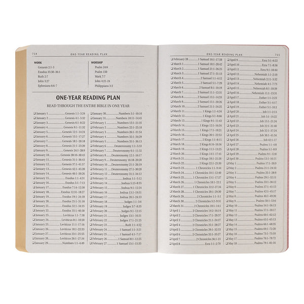 Marbled Coral Pink Faux Leather King James Version Gift Bible