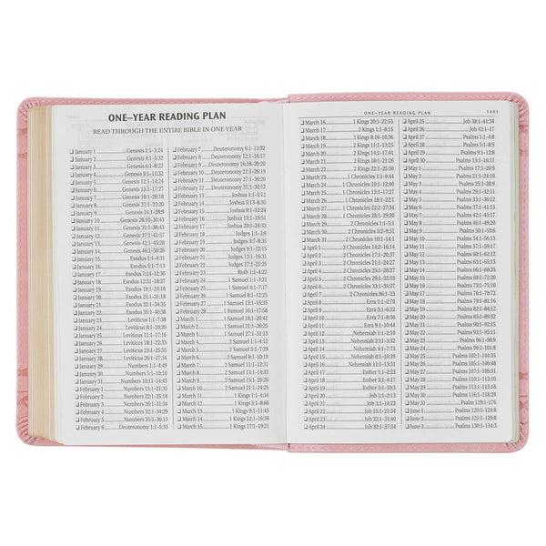 Crown of Thorns Pink faux Leather Large Print Compact King James Bible