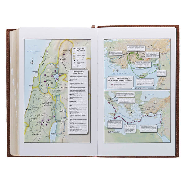 Chestnut Brown Full-grain Leather Giant Print Standard-size King James Version Bible with Thumb Index
