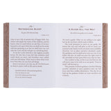 Faith's Checkbook Brown Softcover One-Minute Devotions