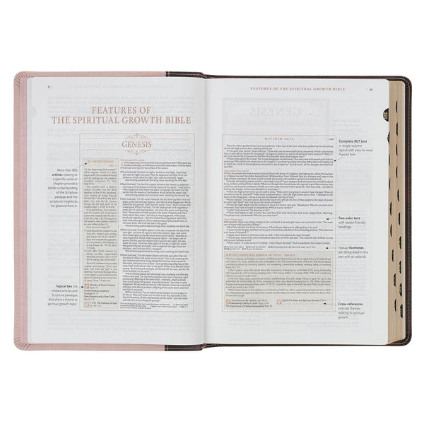 Brown and Blush Pink Faux Leather Spiritual Growth Bible