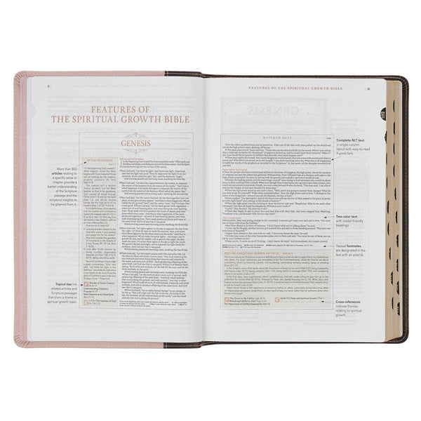 Brown and Blush Pink Faux Leather Spiritual Growth Bible