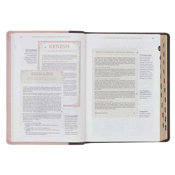 Brown and Blush Pink Faux Leather Spiritual Growth Bible
